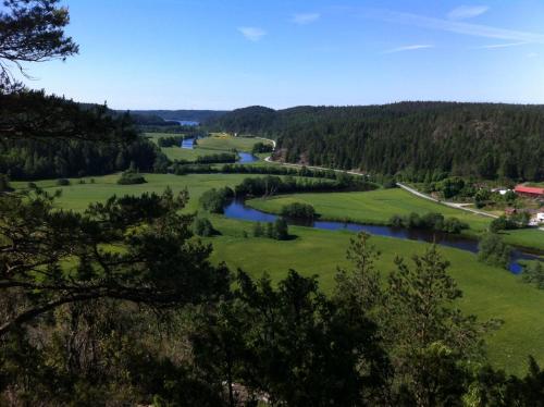 KynnefjällsNatur - Dingle
