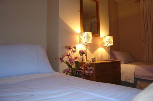 Annandale House - image 3