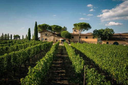 Viticcio, Greve in Chianti (fotografie 6)