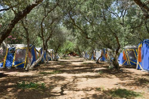 Camping Chania