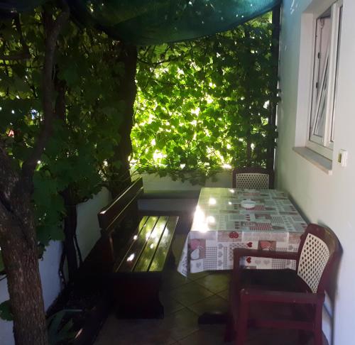 Apartments Lea - image 2