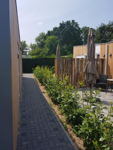 Camping Hotel Renesse - image 3
