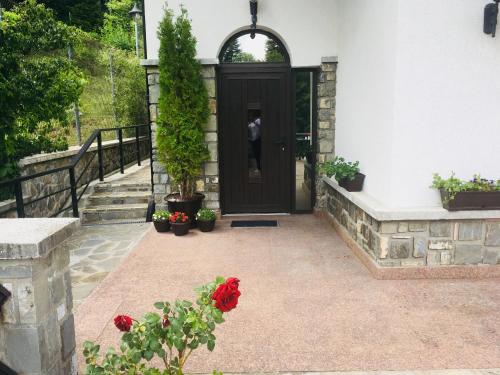 Vila Terase - image 4