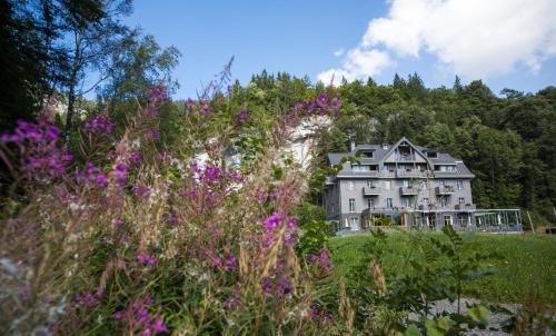 Hotel Wetterhorn