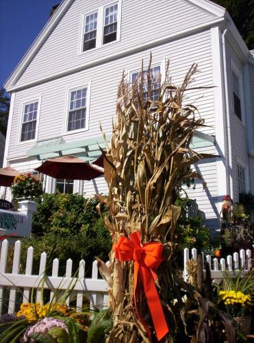 Harborview Inn - image 14