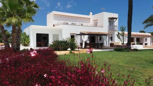 Villa Can Cosmi