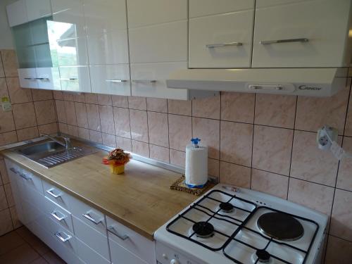 廚房, Apartments Radovic in 拉賓