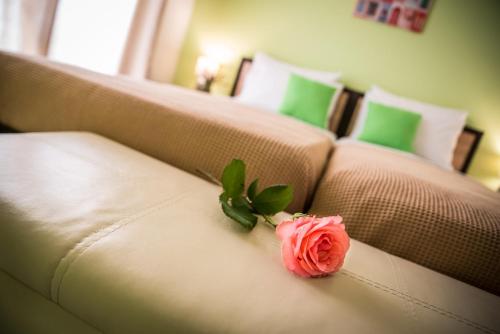  Ivi's House in 64012 Amigdhaleón