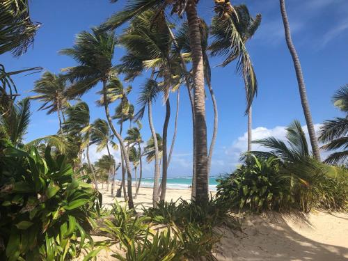 Art Villa Dominicana