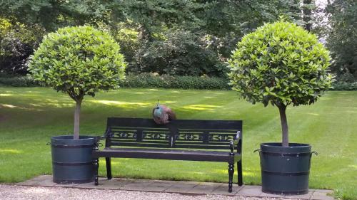 B&B Landgoed Matanze - image 14