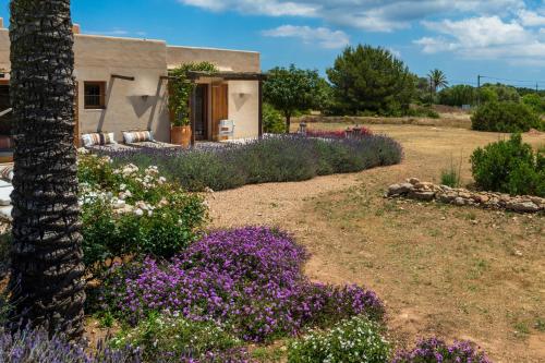 thesuites FORMENTERA