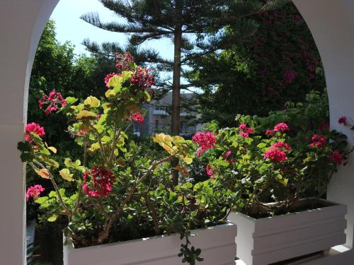 Oliaria Apartments - image 12