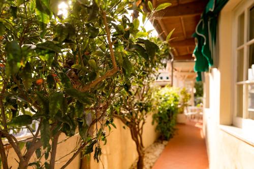 Hotel Corallo - image 9