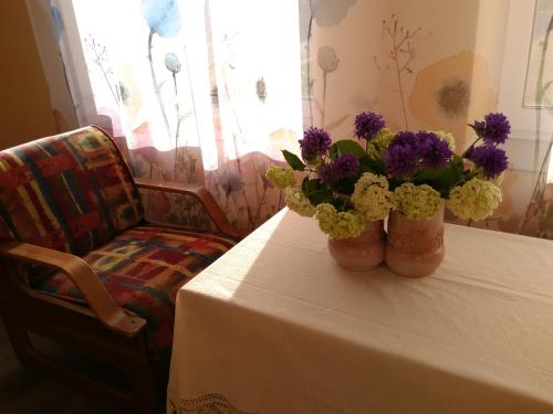 Kernaves centras in 凱爾納維