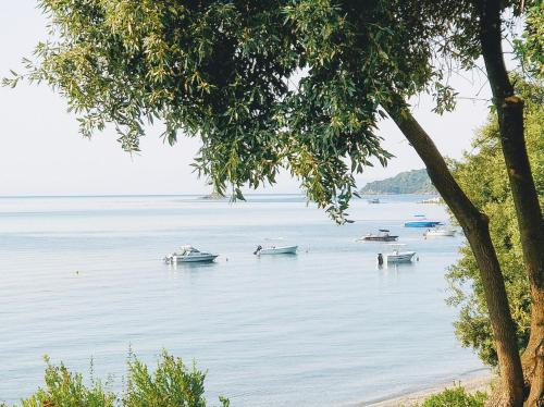  Maria Studios Skiathos in Megali Ammos