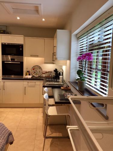 The Burrow in วาร์วิคก์ไชร์