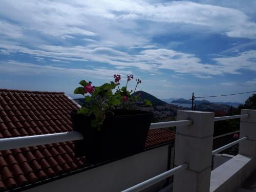 Alto Rooms and Apartments 4