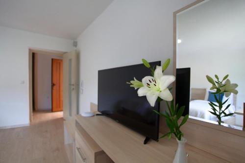 Deluxe Bellevue Apartments - image 12