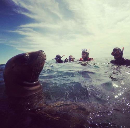 El Tamarisco in Puerto Piramides