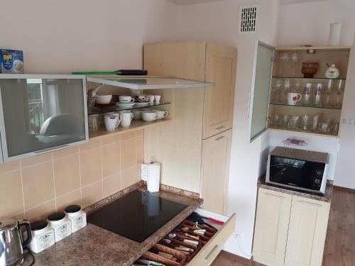 Apartament VIP Vęgoria