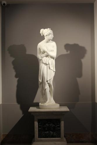 Residenza Cavallini - image 5