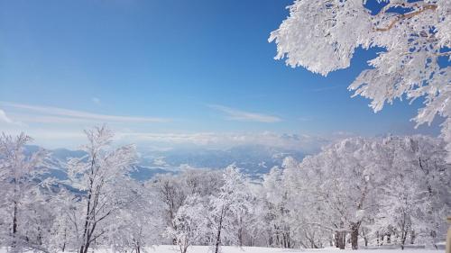 野泽梦日式旅馆