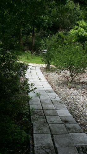 Bright Moon Homestay