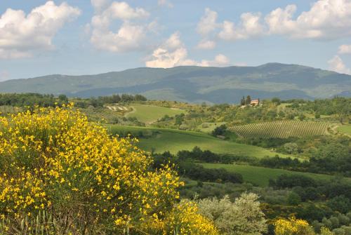 B&B Lavanda e Rosmarino