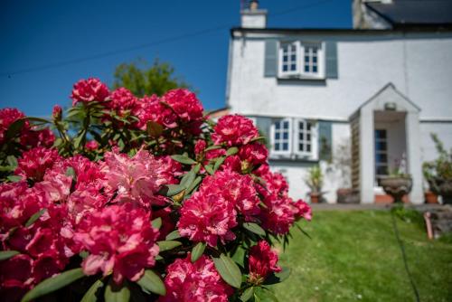 Brentor Self-catering, , Devon