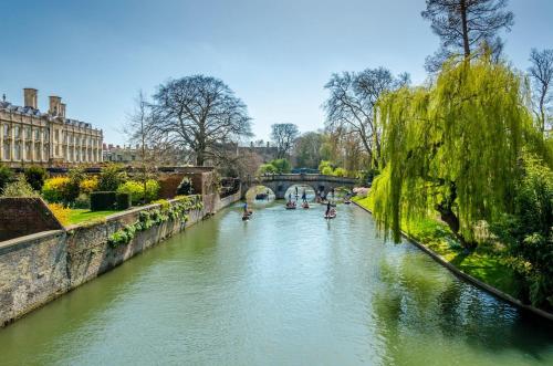 Woodfield Self-Catering apartment