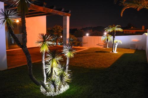 Palmares Beach Golf & Dream - image 11