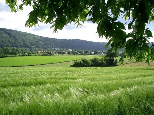 設施, Ferienwohnung Faber mit großem Südbalkon (Ferienwohnung Faber mit großem Sudbalkon) in 艾星