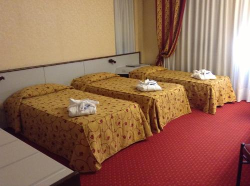 Hotel Maxim - image 8