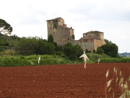 Relais Borgo Di Toiano - image 10