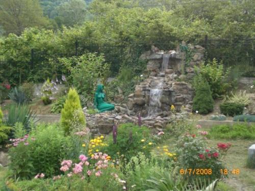 Guesthouse Svetlana - image 5
