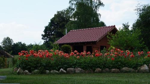 Villa ŁĄGI (Villa LAGI) in Bukowiec (Lower Silesian)