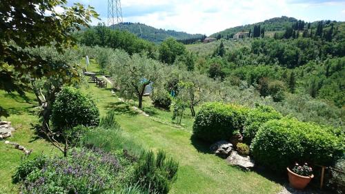 La Sassaia in Carmignano