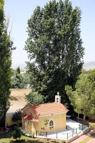 Hotel Anesi - image 5