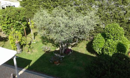 B&B Villa Milena - image 3