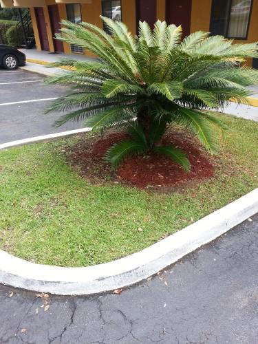 Howard Johnson by Wyndham Tallahassee - main image