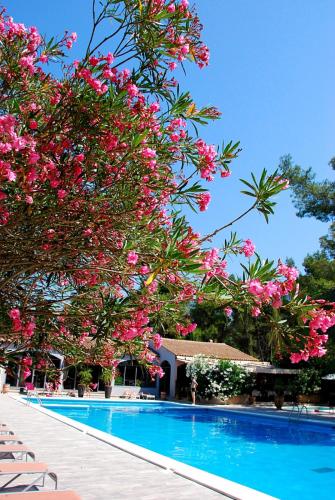 Hotel Les Mazets Des Roches – Tarascon, NY