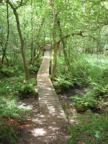 Bed and Breakfast Gasteren - image 14