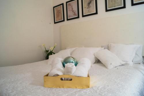 Suite 4B Bazzar, Garden House, Welcome to San Angel