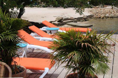 المرافق, Coral Reef Beach in أورنجستاد