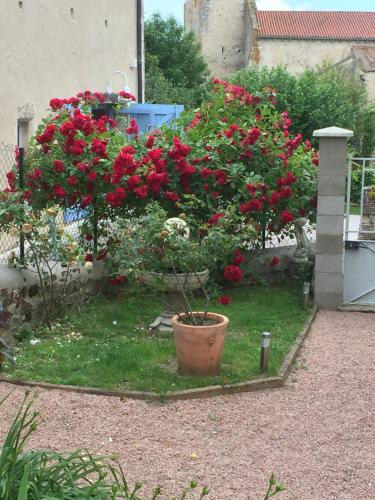 La Maison aux Hortensias