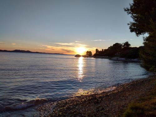 Barka Zadar