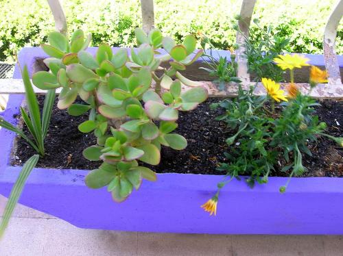 Centralissimo e luminosissimo apt a Roma