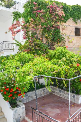 Kalypso, Agia Galini (foto 6)