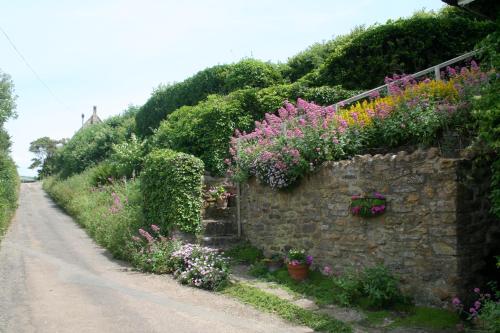 The Cottage Abbotsbury