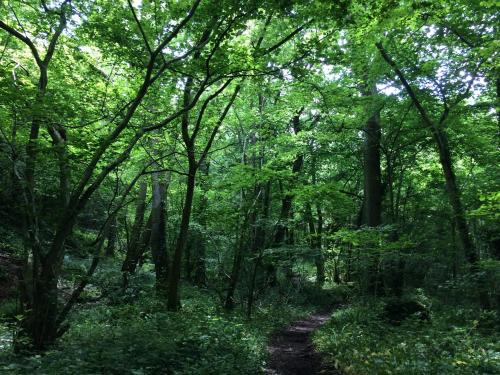 Cerca de lugares turísticos, Yew Tree Cottage in Claverton